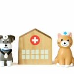 犬と猫の動物病院