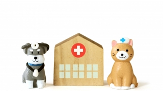 犬と猫の動物病院